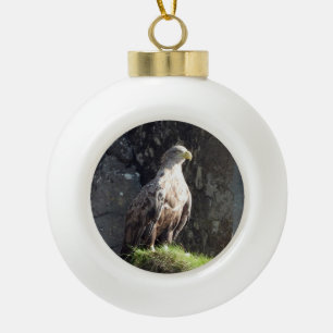 Boule En Céramique Aigle Blanc à Queue Rivière Falaises Animaux sauva