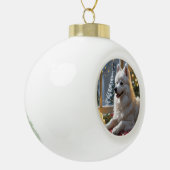 Boule En Céramique American Eskimo With Christmas Lights Holiday (Gauche)