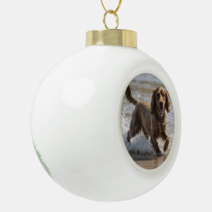 Boule En Céramique "Amusement à la mer : Un Cocker Spaniel joue dans