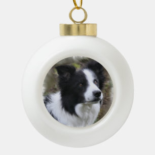 Boule En Céramique Art de Collie frontalière