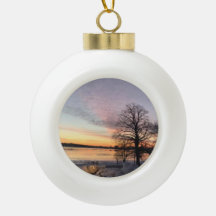 Back Cove Winter Wonderland