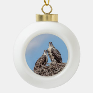 Boule En Céramique Balbuzard juvénile dans le nid