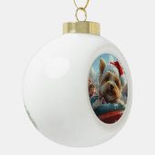 Boule En Céramique Biewer Terrier Dog Roller Dessous de verre Noël (Gauche)