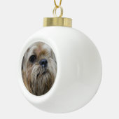 Boule En Céramique Bruxelles Griffon (Droite)