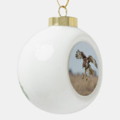 Boule En Céramique Buse à queue rouge immature (Gauche)