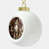 Boule En Céramique Buse à queue rouge immature (Droite)