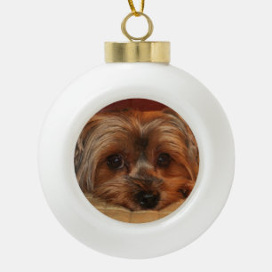 Boule En Céramique Chien de Yorkshire mignon Terrier Yorkie