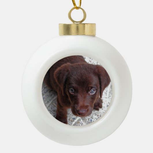 Boule En Céramique Chiot (Devant)
