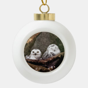 Boule En Céramique Chouette Harfang Couple Art Bois Faune