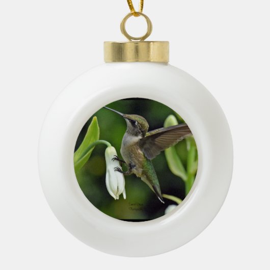Boule En Céramique Colibri (Devant)