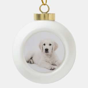Boule En Céramique customisé avec la photo de animal de compagnie mém