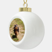 Boule En Céramique Cute Yorkshire Terrier Puppy course (Droite)