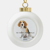 Boule En Céramique Elégant moderne photo pour animaux de compagnie Pr (Devant)