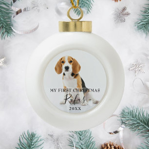 Boule En Céramique Élégante photo de Noël moderne pour animaux de com