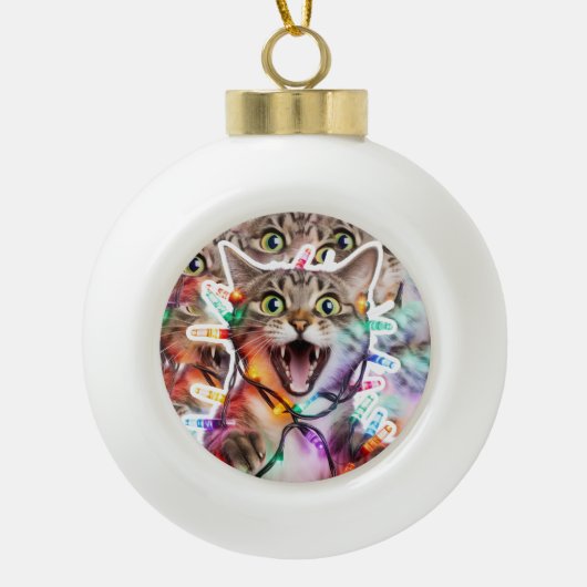 Boule En Céramique Funny Cat in Lights Holiday (Devant)