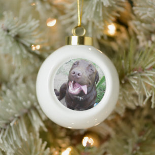 Boule En Céramique Goofy Delties : Chocolat Brown Labrador Puppy,