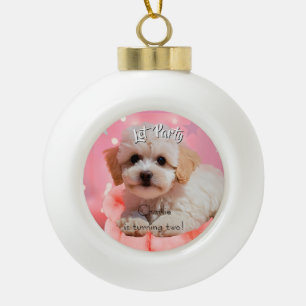 Boule En Céramique Joyeux Anniversaire Chien Faisons la Fête