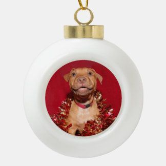 Boule En Céramique Joyeux chiot pitbull