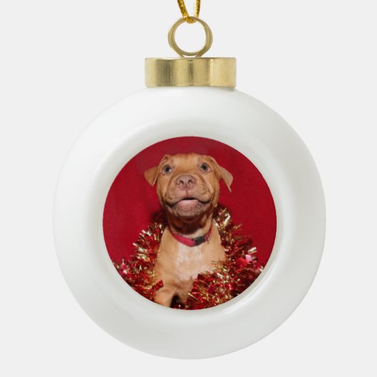 Boule En Céramique Joyeux chiot pitbull (Devant)