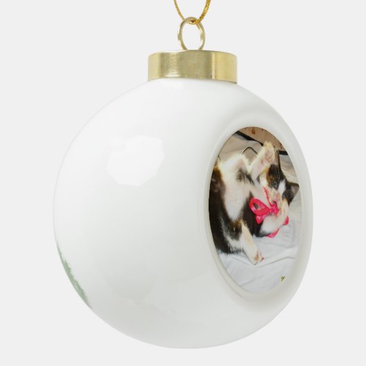 Boule En Céramique Kitten Photo Text , Snowflake, Customize,  (Gauche)