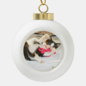 Boule En Céramique Kitten Photo Text , Snowflake, Customize,  (Devant)