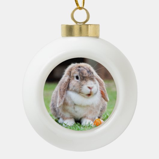 Boule En Céramique lapin à oreilles de lop mignon (Devant)