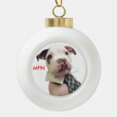 Boule En Céramique M. Fig Newton Ornament #1 (Devant)