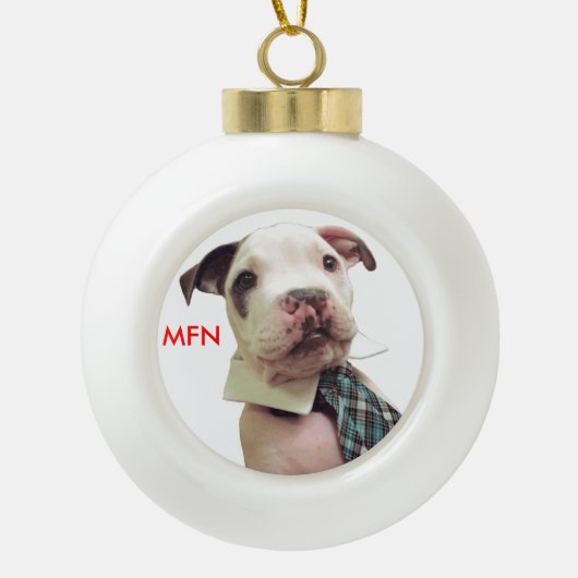 Boule En Céramique M. Fig Newton Ornament #1 (Devant)