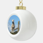 BOULE EN CÉRAMIQUE MOQUETTE (Droite)