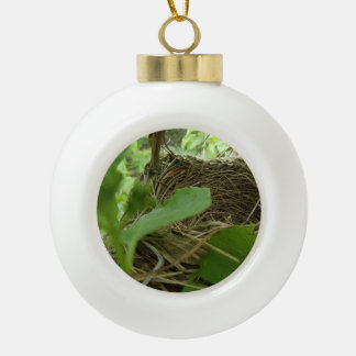 Boule En Céramique Nid nouvellement construit mais vide d'oiseau dans