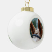 Boule En Céramique oreilles de cheval (Gauche)