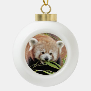 Boule En Céramique Ornement. noel, panda rouge. Panda roux.