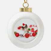 Boule En Céramique Petit Papillon Chien Noël Santa Hat (Devant)