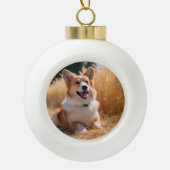 Boule En Céramique Photo personnalisée pour animaux (Devant)
