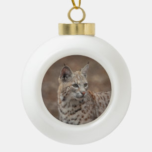 Boule En Céramique Portrait d'un lynx roux
