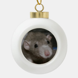 Boule En Céramique Rat curieux