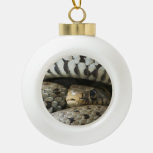 Boule En Céramique Serpent