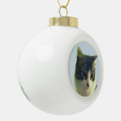 Boule En Céramique Visage de chat tabby mignon (Gauche)
