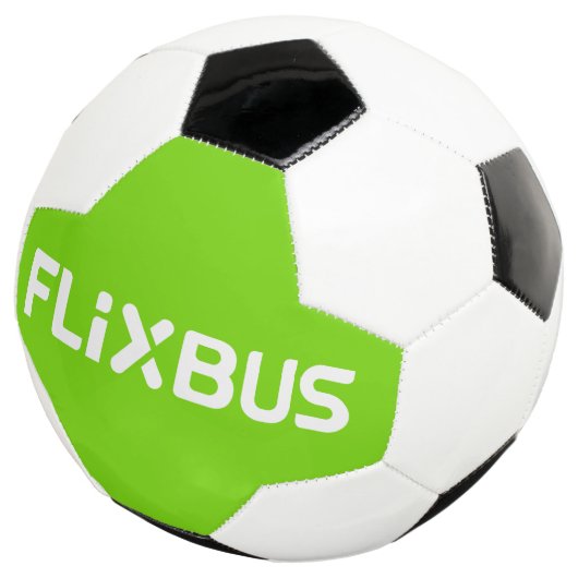 Boule Flixbus (3/4)