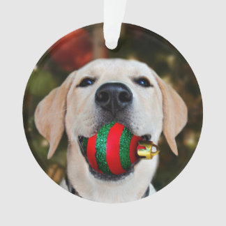 Boule jaune de Noël de laboratoire