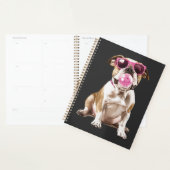 Bouledogue (Devant avec enveloppe)