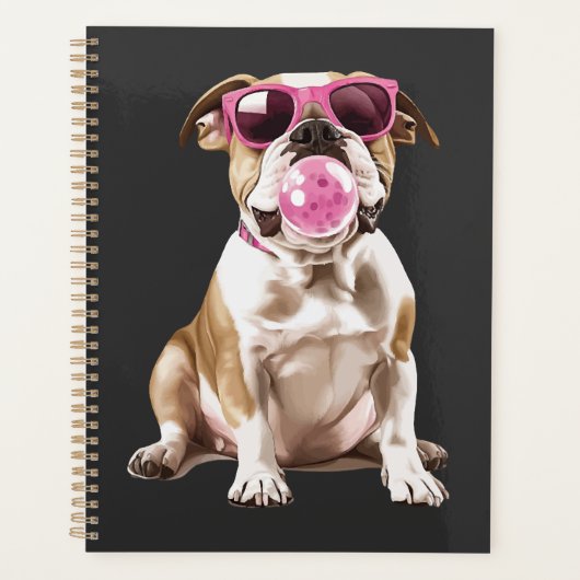 Bouledogue (Devant)