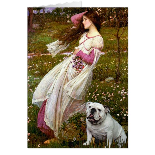 Bouledogue anglais 9 - Windflowers (Devant)