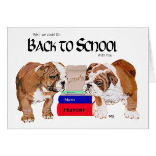 Bouledogue Anglais Rentrée des Classes