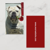 Bouledogue blanc avec le carte de visite rose (Devant / Derrière)