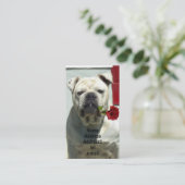 Bouledogue blanc avec le carte de visite rose (Debout devant)
