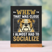 Bouledogue Drôle Socialiser Chien (Neutre)