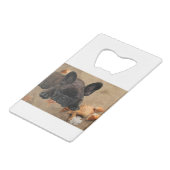 Bouledogue français (Dos Angle)