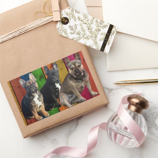 Bouledogue français 3 bully autocollant (Cadeaux)