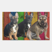 Bouledogue français 3 bully autocollant (Devant)